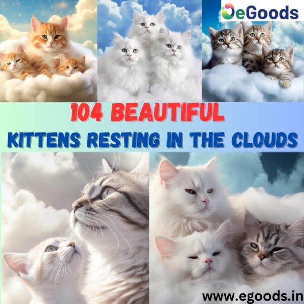 104-Beautiful-Kittens-Resting-In-The-Clouds-egoods.in