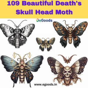 109-Beautiful-Deaths-Skull-Head-Moth-egoods.in