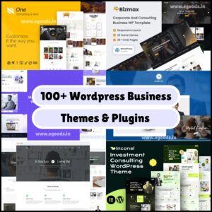 business themes & plugins